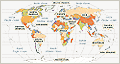 World map
