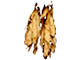 Encyclopedia: tobacco