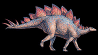 Stegosaurus
