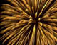 4th of July birthdays