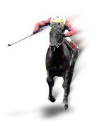 Jockey on the Home Stretch