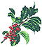 Christmas Holly