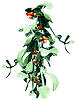 Mistletoe