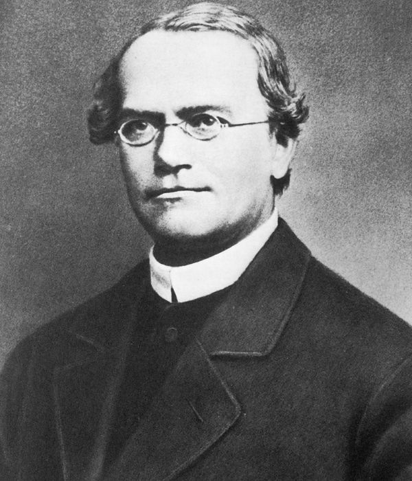 Gregor Mendel