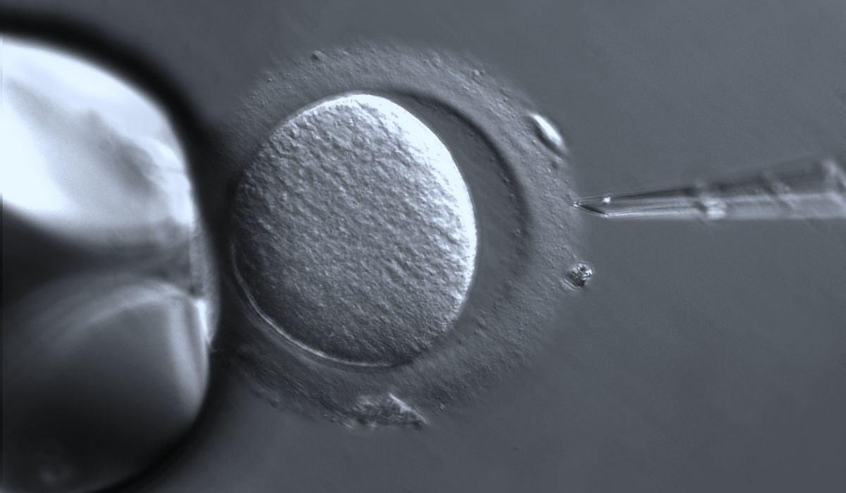 The world's first test-tube baby, Louise Joy Brown, was born in Lancashire, England.