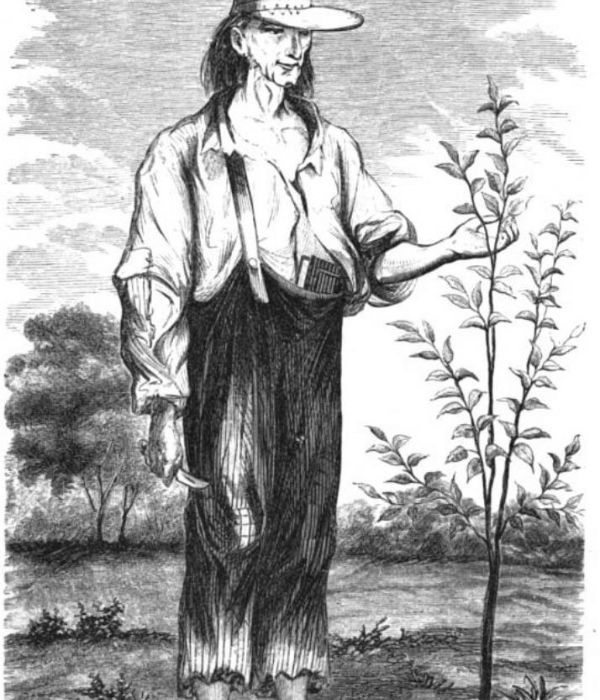John Chapman