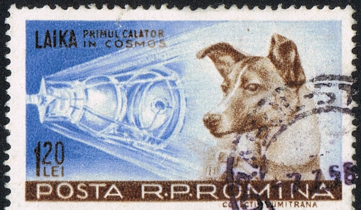 The Soviet Union  sent the first animal, a dog named Laika, into space aboard the Sputnik II. Laika 