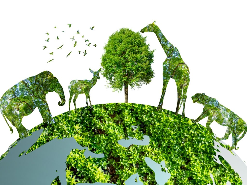 Animals across the globe