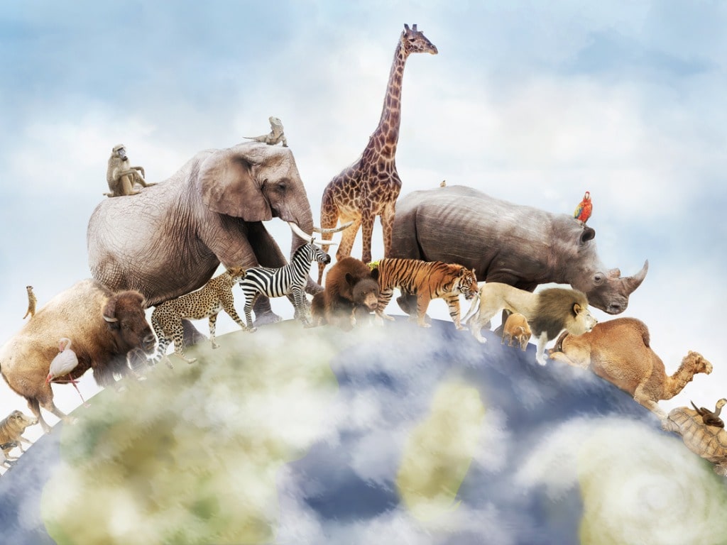 Animals walking overtop of the globe
