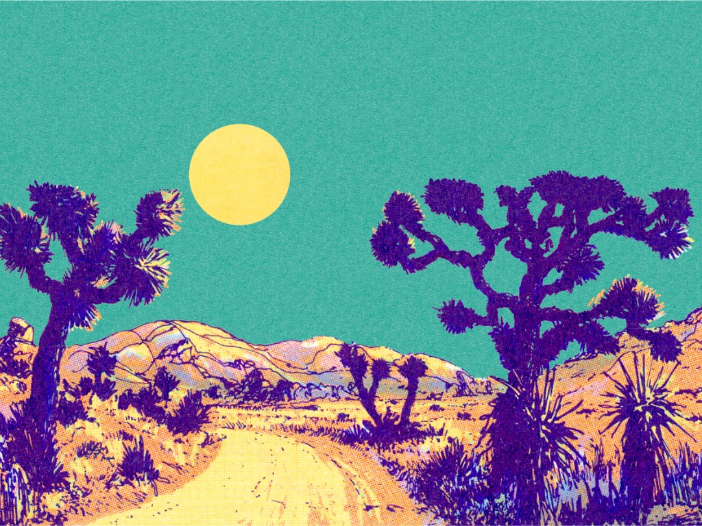 Joshua tree desert