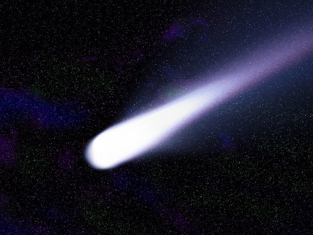 Halley's Comet