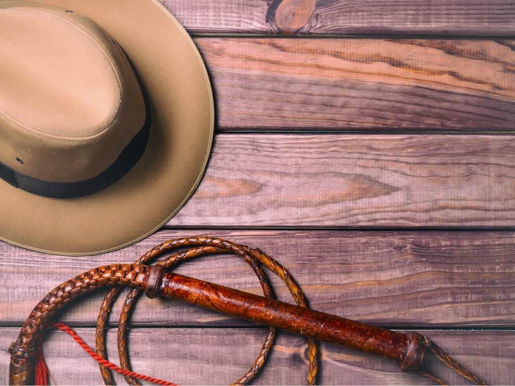 Adventurer's hat and whip