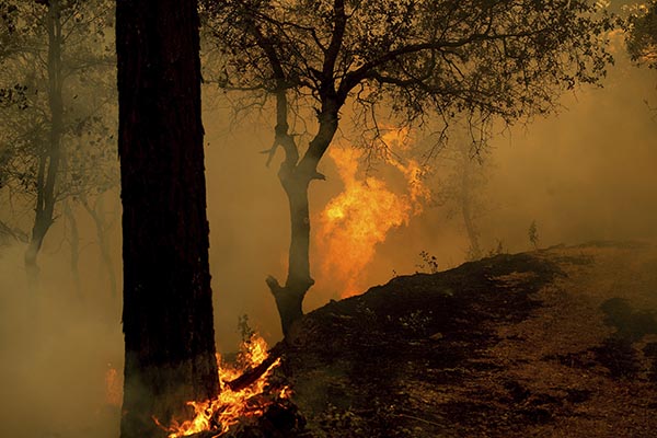Carr Fire