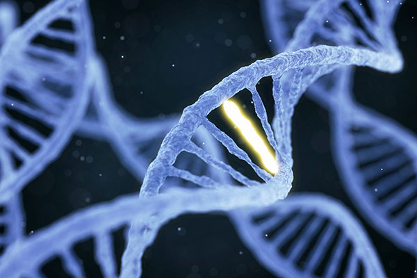 DNA