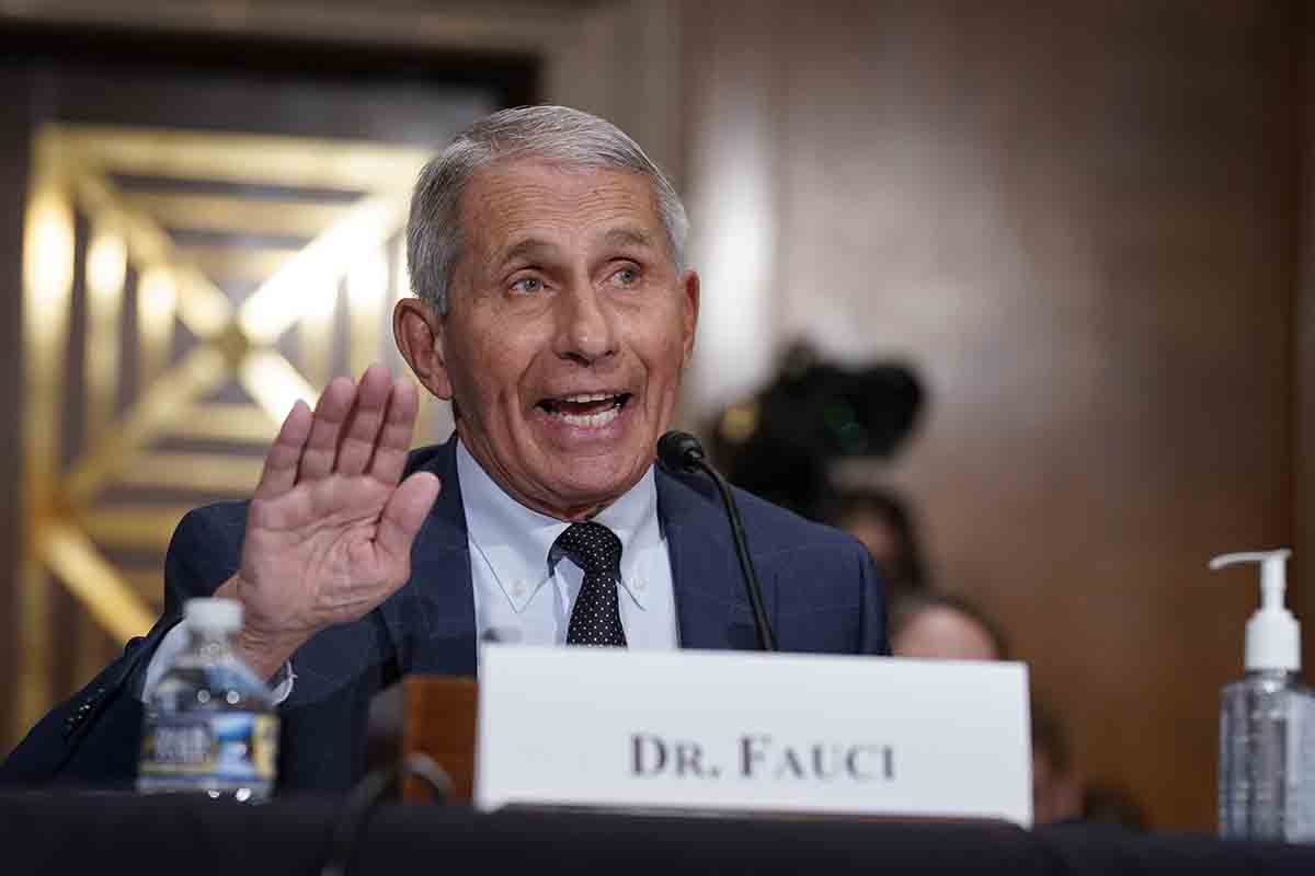 Fauci