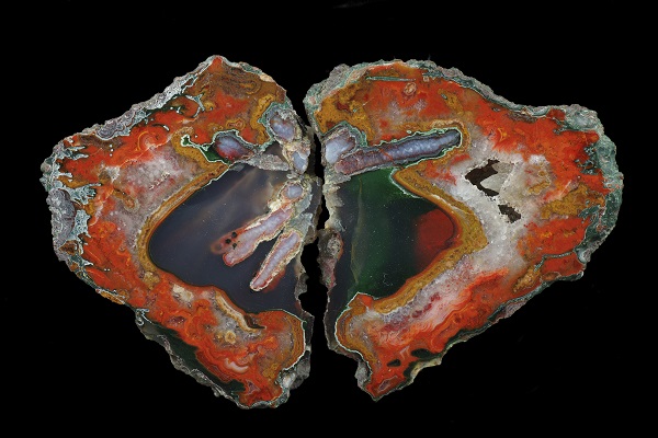 Fossil