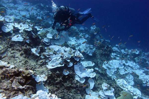 Great Barrier Reef