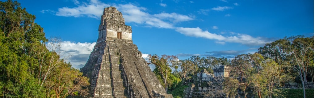 Maya Pyramid in Tikal