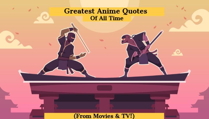 Ninja Anime Cartoon Fight