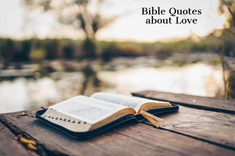 Bible Quotes about Love